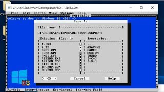 Running DOS applications on Windows 10 x64 [upl. by Eivol802]