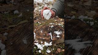 Survival Skills A Burner That Defies Snow and Wind survival camping lifehacks [upl. by Romonda499]