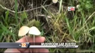 Magic Mushrooms Worth 800000 Seized at Southwest Ohio Home [upl. by Ainosal]