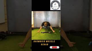 Rhomboid muscle rehab physiotherapist9536 viralvideo rhomboids [upl. by Kellby]