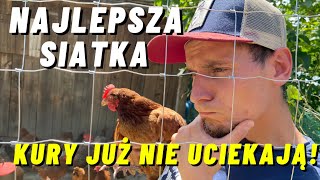 Najlepsza siatka do ogrodzenia kur na zagrodę lub ogrodzenie tymczasowe [upl. by Moffat835]