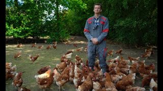 RENCONTRE avec David LEGER éleveur de poules pondeuses bio [upl. by Llorrad]