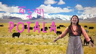 པོ་ཏཱ་ལ། POTALA Gorshey Video Coming Soon  New Gorshey  Tibetan song  Famous Gorshey  Tib song [upl. by Calia]