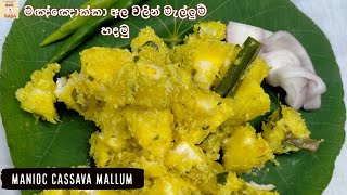 Manioc Mallum  මඤ්ඤොක්කා අල වලින් මැල්ලුම් හදමු Ape Rasa [upl. by Rebmyk]