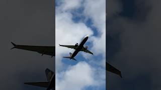 ryanair crew cabincrew flightspotting aviation aviationlovers avgeek verona veronaairport [upl. by Gertrud105]