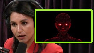 Tulsi Gabbard Im Very Concerned About Artificial Intelligence  Joe Rogan [upl. by Nylecsoj]