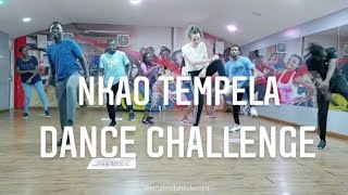 Nkao Tempela Dance Challenge  Chicco ft Mellow Sleazy [upl. by Aridatha]