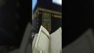 Islamic satuts naatsarifyoutubeshorts madina [upl. by Wilser92]