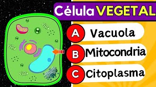 🧬🧠 Examen de la célula VEGETAL 🌱 🤔¿Sabes Identificar los ORGANELOS de la CÉLULA💡 Examen UNAM🔬🧬 [upl. by Ysiad]