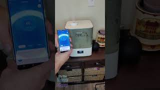 Levoit humidifier for small and medium rooms with app controls [upl. by Reviere668]