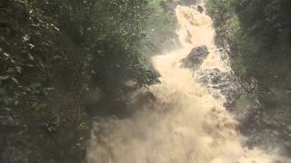 Torrential downpour in Whakatane turns roads into rivers [upl. by Anyal]