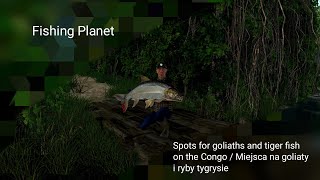 Fishing Planet Spots for goliaths and tiger fish on the Congo  Miejsca na goliaty i ryby tygrysie [upl. by Pandolfi]