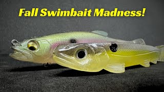 These Swimbaits Are Fall Fish Magnets [upl. by Aharon]