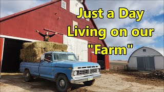 Hillbilly Repair Farm 76 F250 amp Hauling Hay with Emily [upl. by Htiek]