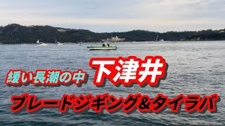 【下津井 ブレードジギングampタイラバ】2024年11月10日 下津井調査 [upl. by Neit]