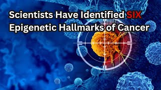 Scientists Have Identified 6 Epigenetic Hallmarks of Cancer [upl. by Nawk]