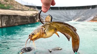 This Spillway was Hiding a MONSTER I FINALLY Caught One [upl. by Notac945]