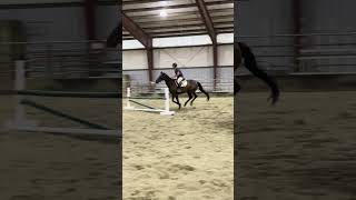 TBT Rah OTTB Staring to Jump [upl. by Noemys]