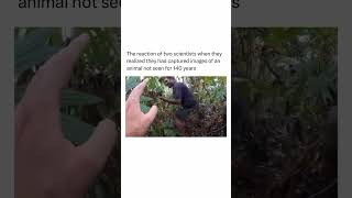 Jungle Camera Trap Catches UNBELIEVABLE Creature [upl. by Nek603]