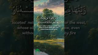 Surah An Nur verse 35  SurahAnNur quran modesty islamicshorts recitation shorts [upl. by Borden147]