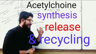 Acetylcholine synthesis release metabolism and recycle UrduHindi by Dr UUT amp vid by Mahmood [upl. by Mildred]