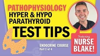 Hypoparathyroidism vs Hyperparathyroidism NCLEX Pathophysiology Endocrine Review with Nurse Blake [upl. by Howlan]