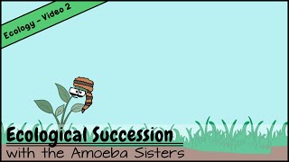 Ecological Succession Natures Great Grit [upl. by Adniram]