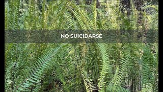 No Suicidarse [upl. by Femi]