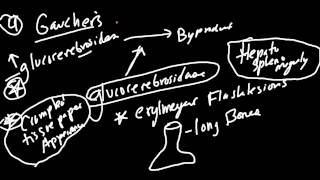 Lysosome Storage Disorders Made Simple [upl. by Sabra]