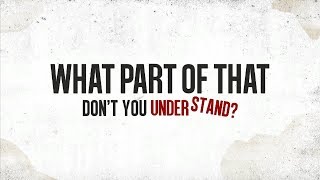 Simple Plan  Opinion Overload Lyric Video [upl. by Levenson]