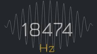 1Hz to 22000Hz frequency generator human audio spectrum suara pembersih speaker hp [upl. by Cartie642]