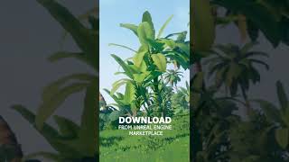 Unreal Engine Stylized Tropical Environment [upl. by Akeenahs]