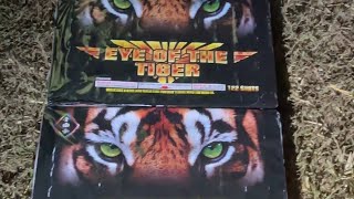 Eye of the Tiger 230s Firework boom iykyk bigfireworks [upl. by Noret]