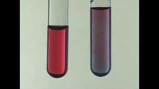 Citrate Synthesis of Gold Nanoparticles [upl. by Bounds]