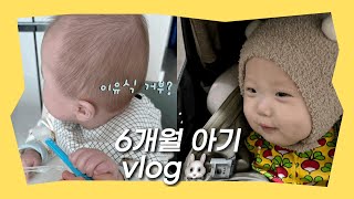 VLOG 육아 브이로그ㅣ6개월 아기 이유식 시작 쌀미음 이유식 거부 이빨이 뿅 점퍼루와 친해지기 문화센터 200일 촬영 [upl. by Nickolaus270]