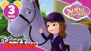 Magical Moments  Sofia the First Minimus The Flying Pony  Disney Junior UK [upl. by Ahtimat692]