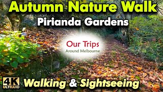 Pirianda Garden Melbourne Autumn 4K Walk Tour Cinematic Travel Vlog Trip Dandenong Ranges Victoria [upl. by Doty]