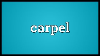 Carpel Meaning [upl. by Yssirk632]