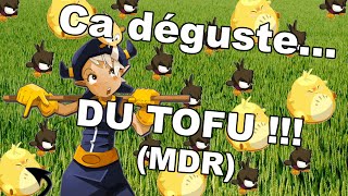 Dofus  Refonte Osa on samuse en PvP 1vs1   TOFUS 4EVER [upl. by Ramiah844]