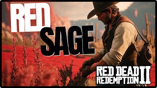 Red Sage Location  Red Dead Redemption 2 [upl. by Trahern]