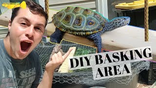 DIY Turtle Basking Platform For 2  Turtle Basics [upl. by Akiehsal]