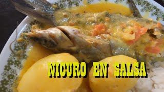 NICURO EN SALSA  ¿Cómo hacer nicuro en salsa RECETA  Cocine con Tuti [upl. by Ita]