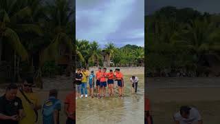 Release of Hawksbill Sea Turtle Hatchlings ✨ [upl. by Rialb]