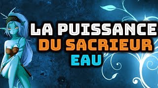 WAKFU  UN SACRIEUR EAU EN PVP  2 [upl. by Zeralda340]