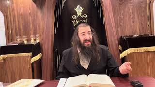 Melachim 231 Harav Chaim Ozer Geldzahler [upl. by Gorrian]