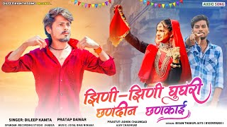 झिणीझिणी घुघरी छणदीन छणकाई  Dileep kamta new song 2024  jhini jhini ghugri dj song [upl. by Kieger552]