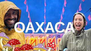 OAXACA CITY MEXICO  Food in the city and MUSHROOMS IN THE MOUNTAINS [upl. by Nae]