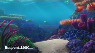 Disney Pixar Dorys Reef Cam [upl. by Gwyn391]