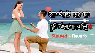 তোর ইনস্টাগ্রামের রিল চুরি করল আমার দিলtor Instagram real churi korlo amar Dilbangla slowedReverb [upl. by Innek]