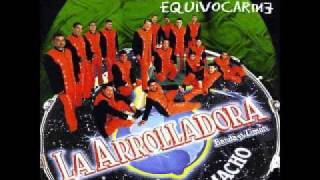 VIEJITAS DE LA ARROLLADORA BANDA EL LIMON DE RENE CAMACHO [upl. by Amorita]